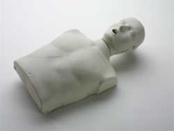 Prestan Manikins